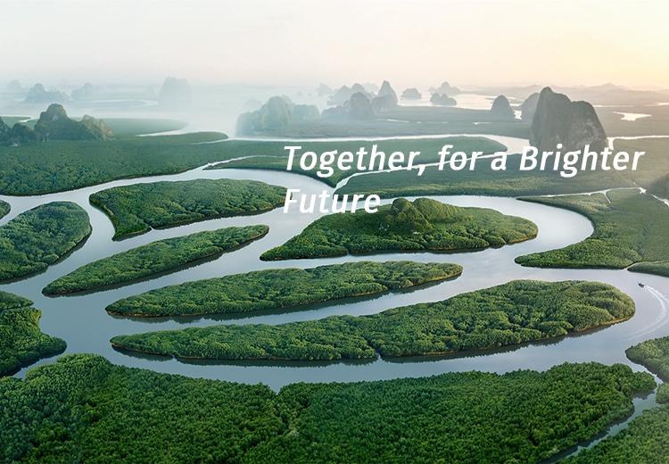 ϸ�廯ѧ ��ɫ����