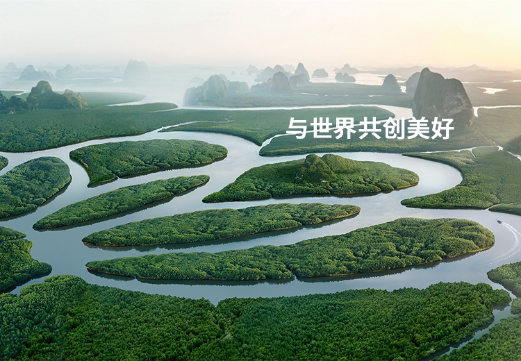 ϸ�廯ѧ ��ɫ����