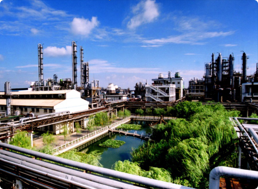 Yangnong Group��s Relocation